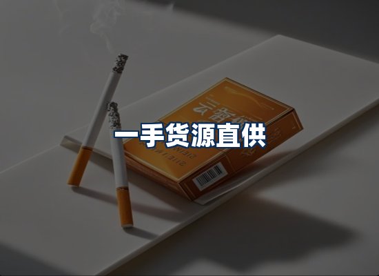 专业团队办公环境